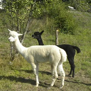 taillefer.midi-pyreneeshotels.com/